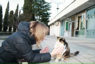 Фотография Козловой Алины