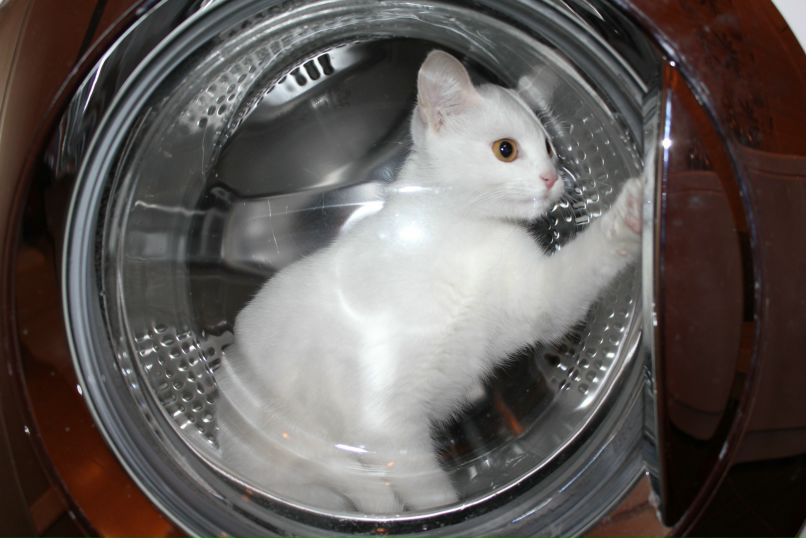 Вера Ивановна фотография #15